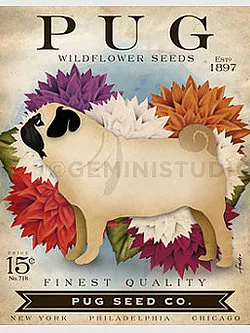 Tango & Chocolate – Pug Seed