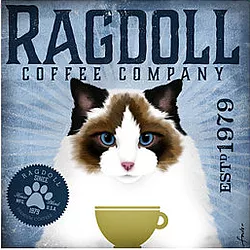 Tango & Chocolate – Ragdoll Coffee
