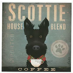 Tango & Chocolate – Scottie Coffee