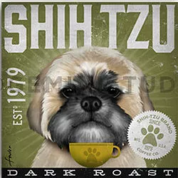 Tango & Chocolate – Shih Tzu Coffee