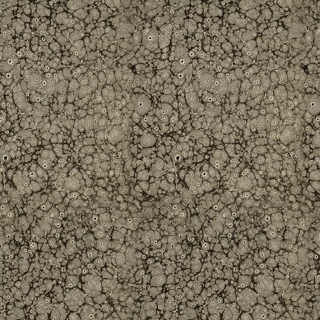 TIM HOLTZ - LABORATORY- Composition, Black