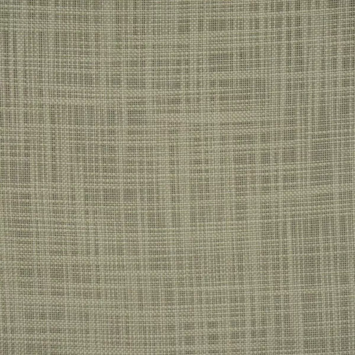 TRANSFORM SAGE RM Coco Fabric