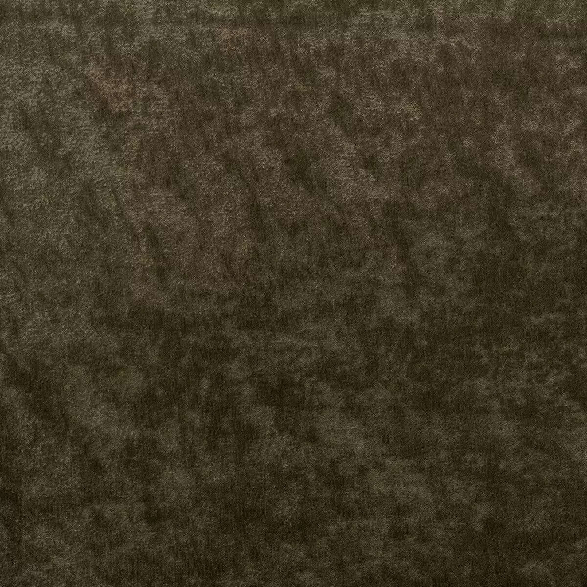 Triumphant Truffle Fabric
