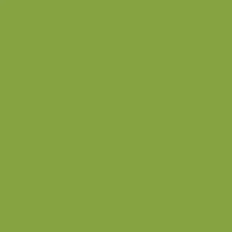 Tula Pink | Solids | Matcha | CSFSESS