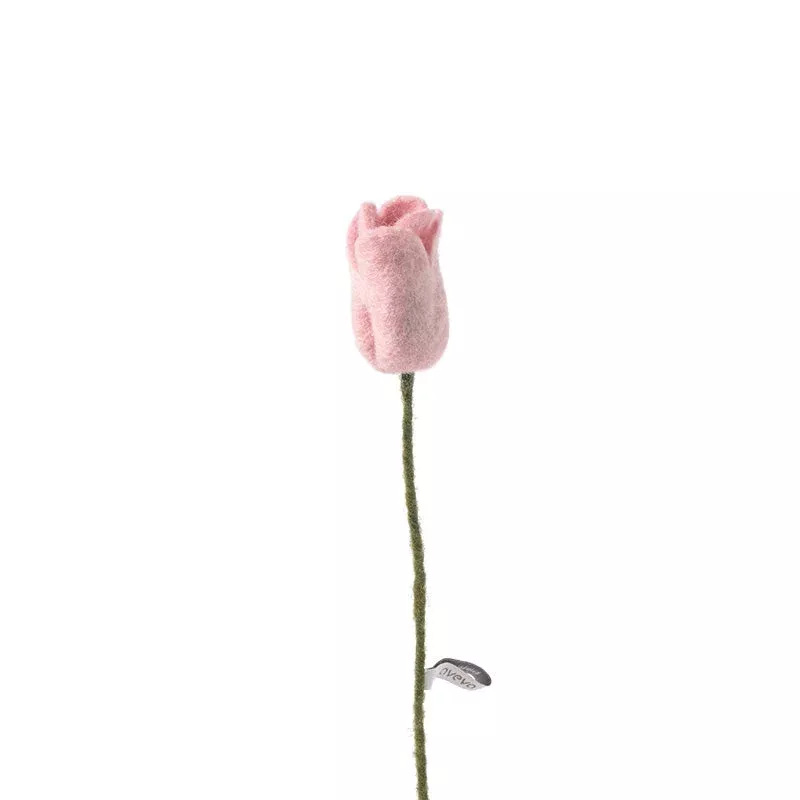 Tulip / Pink
