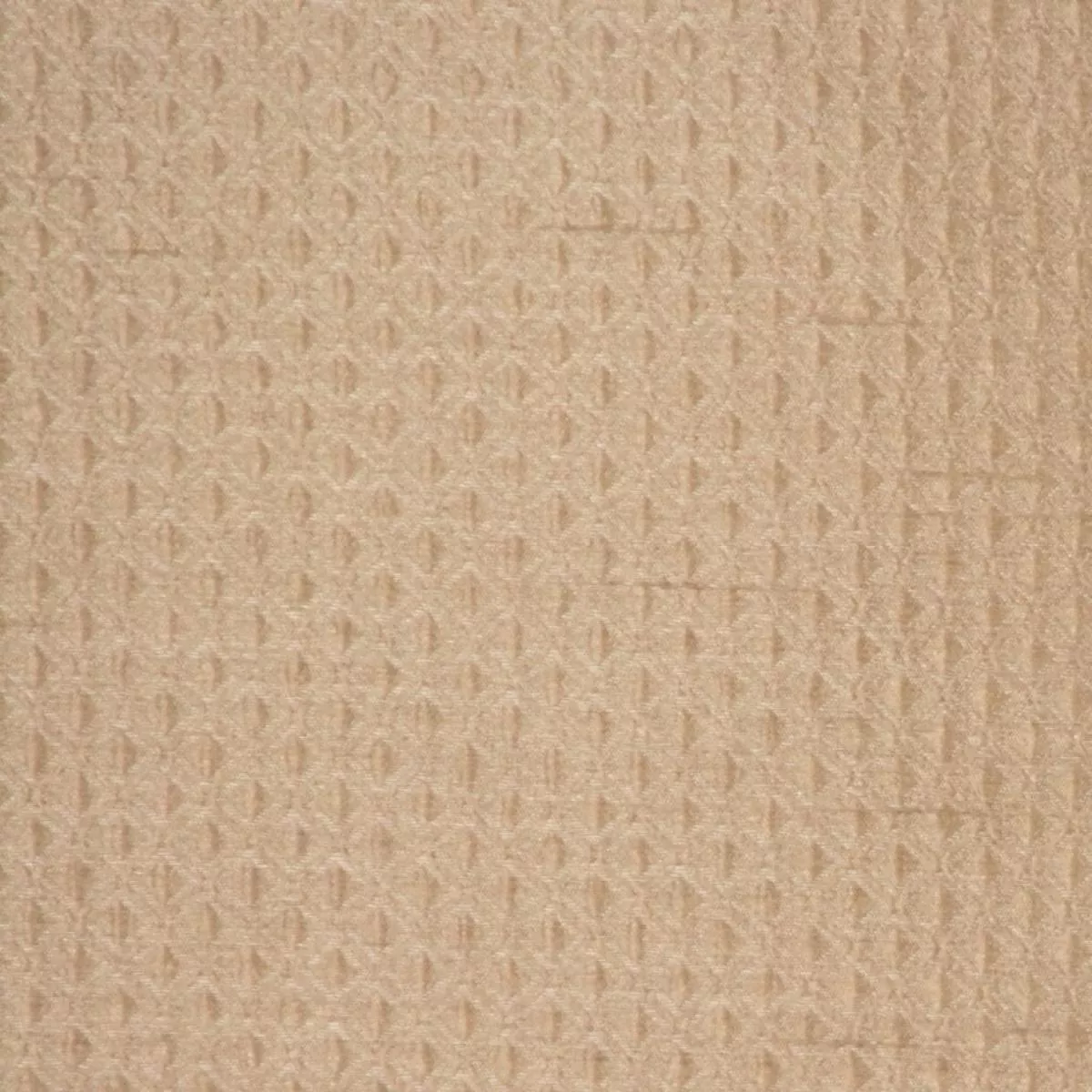 U55 6 RM Coco Fabric