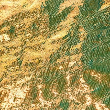 Unicorn Leather Gold 1/2 yard