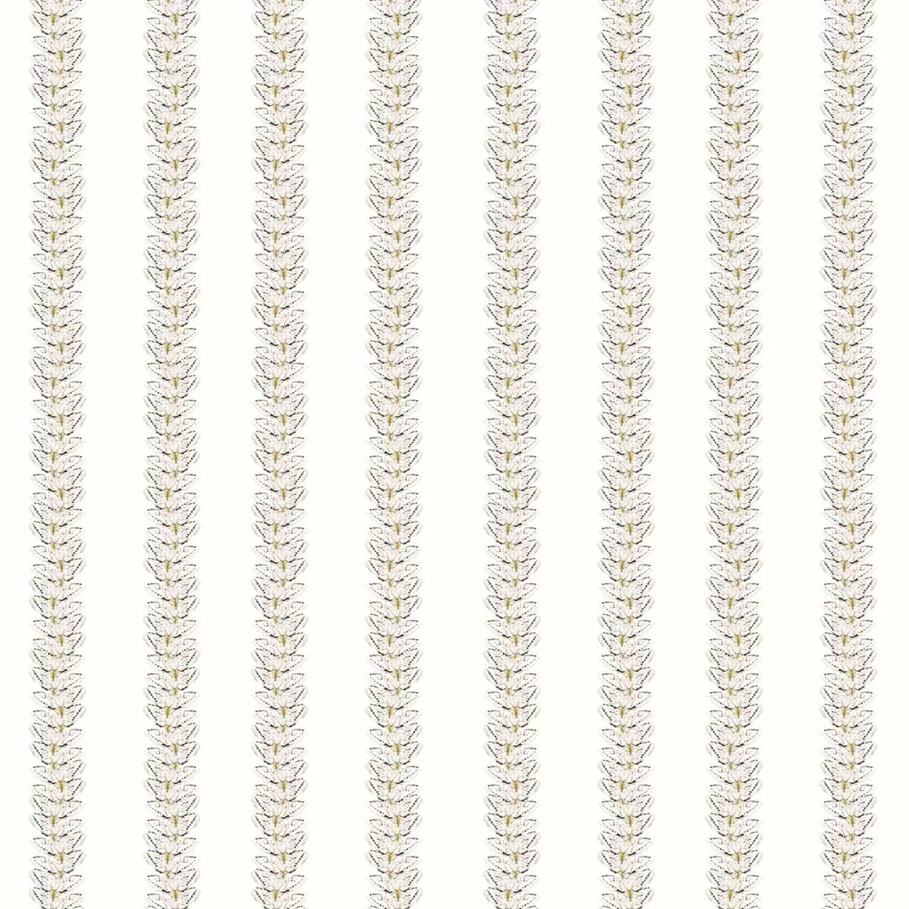 White Moth Stripe Mica Original