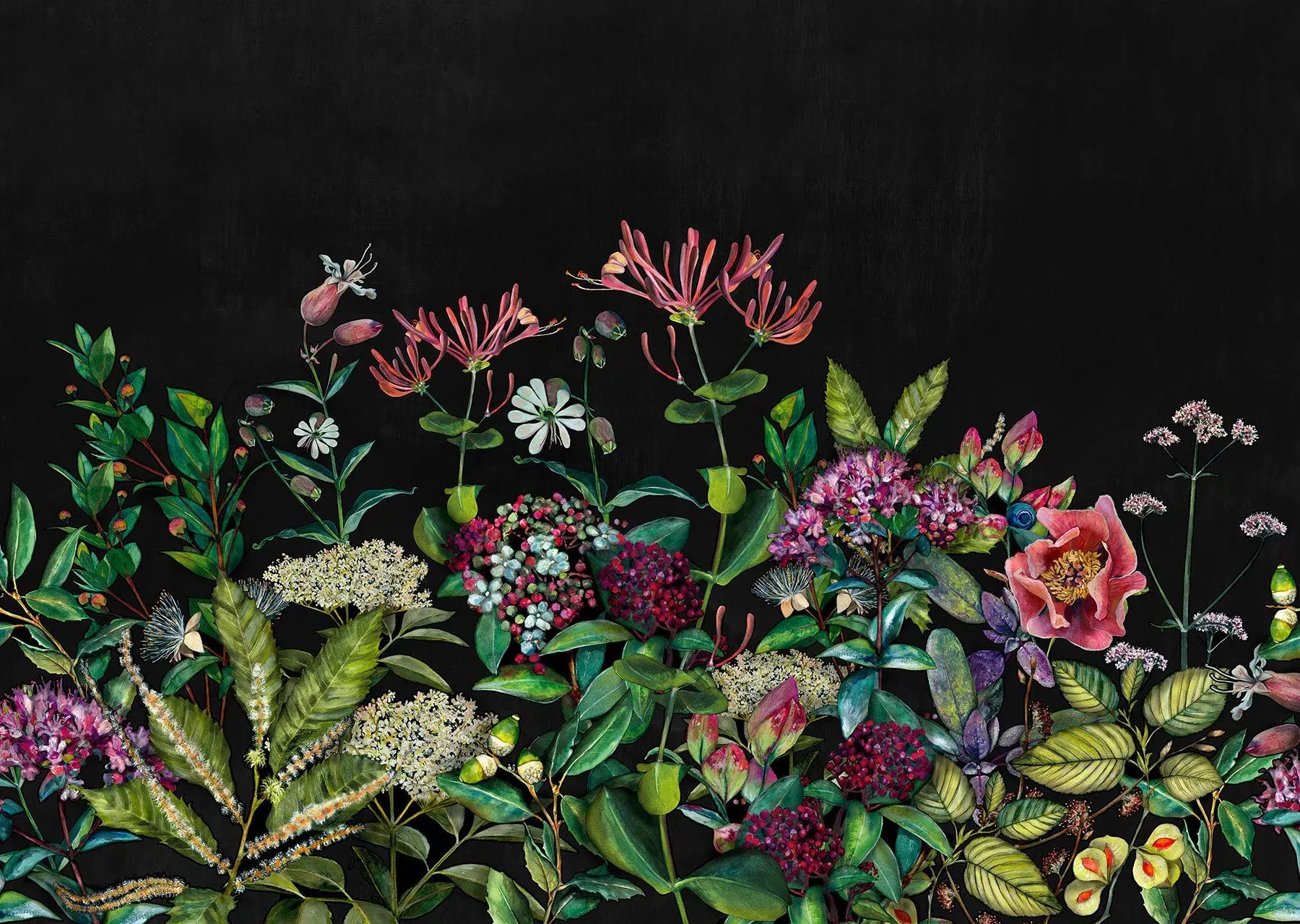 Wild Floral Black