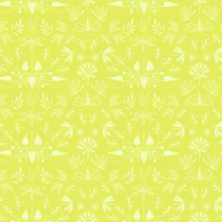 Wingspan - Chartreuse - Aerial - Tamara Kate